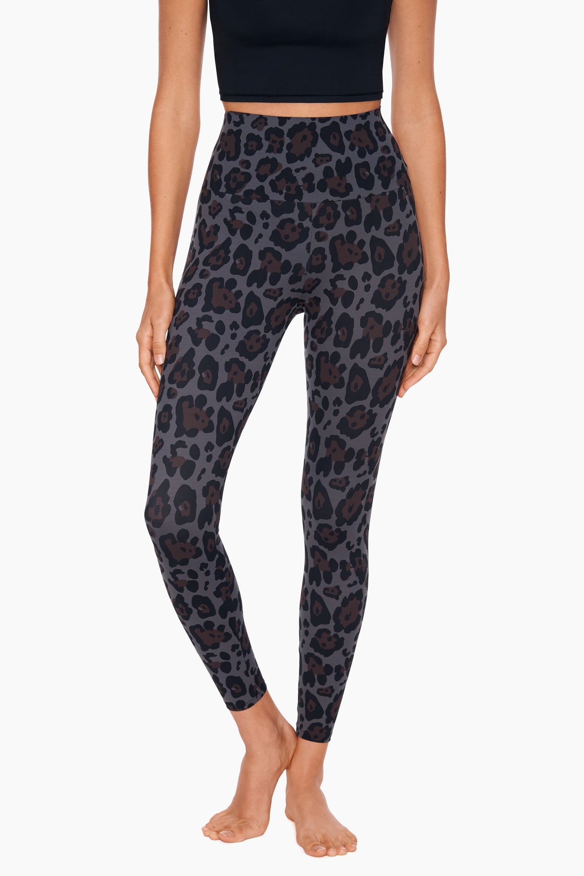 Jaguar Athleisure Legging Jaguar | Miraclesuit
