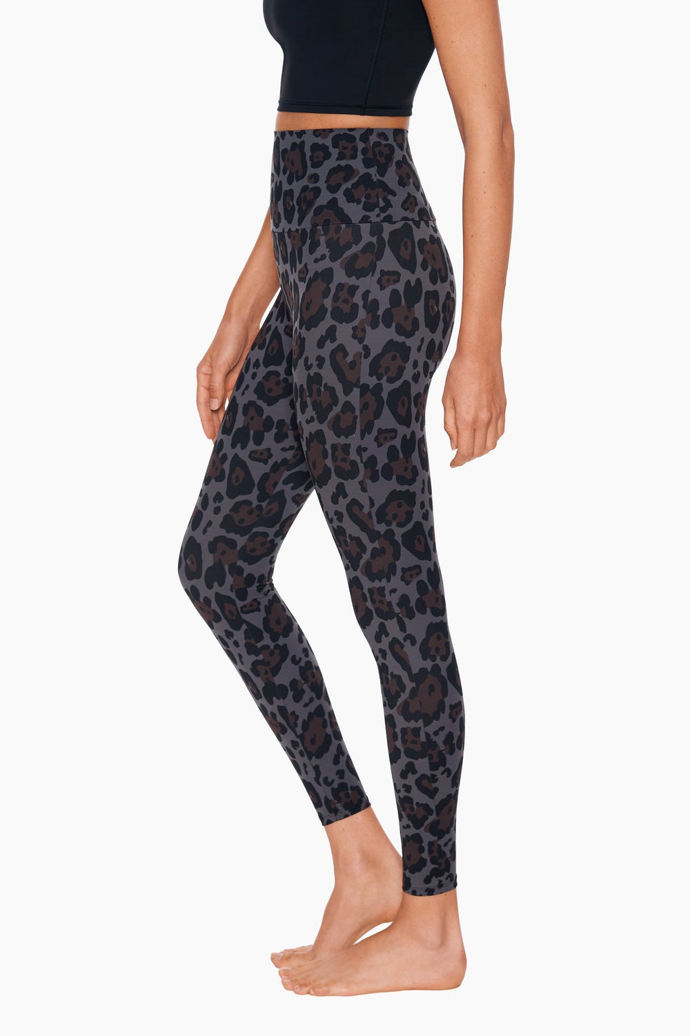 Jaguar Athleisure Legging Jaguar | Miraclesuit
